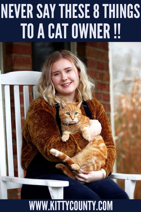 Cat Owners Around The World Will Agree That You Must Never Say These 8 things To A Cat Owner. #crazycatlady #crazycats #prettycats #ilovecats #funnycute Cat Owner Tips, Cat Owner Humor, Cat And Owner, Cat Fun, Cat Humor, Pumpkin Dog Treats, Cat Bath, Cat Hacks, Cat Care Tips