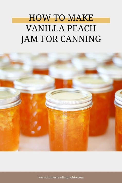 Peach Vanilla Bourbon Jam, Vanilla Peach Jam Recipe Canning, Best Peach Jam Recipe Canning, Canned Peach Jam Recipe, Peach Marmalade With Pectin, Peach Bourbon Jam Recipe Canning, Canning Peach Jam With Pectin, Peach Jam Recipe With Pectin, Low Sugar Peach Jam Recipe Canning