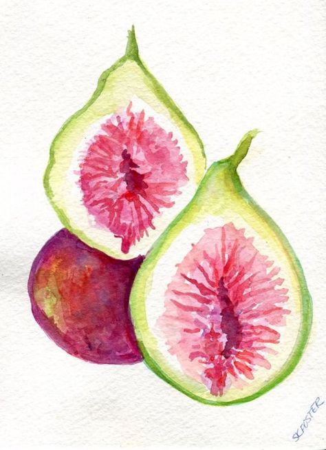 Fruit Illustration Art, Illustration Art Watercolor, Fruit Artwork, Watercolor Food, Watercolor Fruit, Art Watercolor Painting, Watercolour Inspiration, Fruit Illustration, Fruit Painting