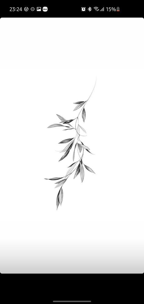 Delicate Branch Tattoo, Plants Chest Tattoo, Branch And Leaves Tattoo, Rose And Olive Branch Tattoo, Realistic Olive Branch Tattoo, Olive Tree Leaf Tattoo, Olive Branch Tattoo Shoulder Wrap, Willow Tree Branch Drawing, Fine Line Greenery Tattoo