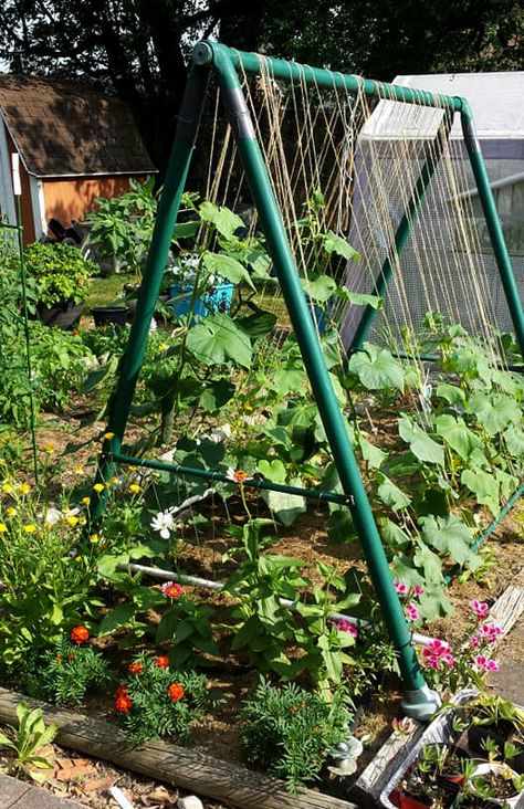 Trellis For Cucumbers, Bean Trellis, Small Backyard Design Ideas, Cucumber Trellis, Design On A Budget, Diy Garden Trellis, Backyard Design Ideas, Recycled Garden, Garden Swing