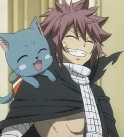 Natsu timeskip Natsu And Happy, Fairy Tail Meme, Zeref Dragneel, Fairy Tail Photos, Fairy Tail Family, Natsu Fairy Tail, Fairy Tail Pictures, Fariy Tail, Fairy Tail Love