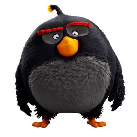 Angry Bird, Angry Birds, Birds, Black