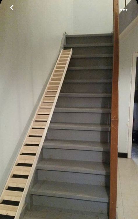 Rabbit Ramp, Wheelchair Ramp Diy, Dog Ramp For Stairs, Cat Ramp, Ramp Stairs, Diy Dog Crate, Dog House Bed, Woodland House, House Balcony