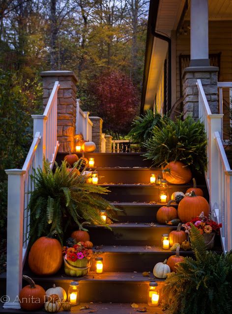 Feathered Nest Friday -  Welcome to Feathered Nest Friday! Fall Things, Unique Farmhouse, Autumn Decorating, Diy Outdoor Decor, Decor Flowers, Fall Front Porch, Fall Outdoor Decor, Fall Decorations Porch, Fall Front