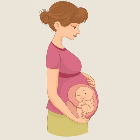 Mom with baby in womb Premium Vector | Premium Vector #Freepik #vector #baby #woman #girl #mother Pregnant Woman Cartoon, Pregnant Animation, Baby In Womb Art, Pregnancy Cartoon, Pregnant Cartoon, Pregnancy Drawing, Baby In Womb, Pregnancy Illustration, Pregnancy Belly Photos