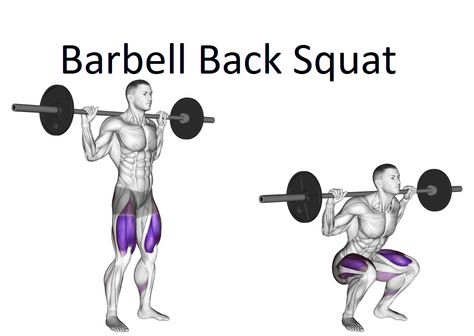 Barbell Back Squat, Proper Squat Form, Zercher Squat, How To Squat Properly, Tuesday Workout, Back Squat, Muscle Hypertrophy, Weight Bearing Exercises, Barbell Squat