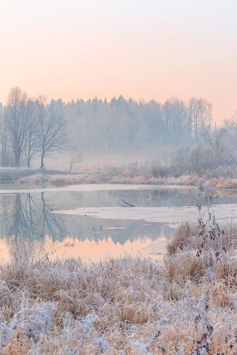 Pastel Winter, Snow Nature, Mountain Landscape Photography, Landscape Photography Tips, Winter Nature, Landscape Photography Nature, Winter Scenery, Winter Aesthetic, Winter Photography