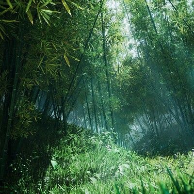 Bamboo Forest Aesthetic, Chinese Forest, Bamboo Aesthetic, Perspective References, Forest Lighting, Village Witch, Map Ideas, Magic Light, Dark Paradise