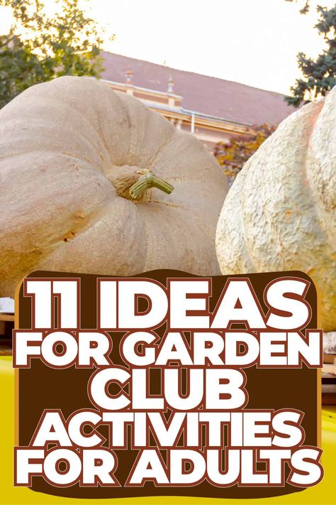 21 Ideas For Garden Club Activities For Adults Community Garden Ideas Projects, Garden Club Program Ideas For Adults, Gardening Club Ideas For Seniors, Gardening Club Ideas, Garden Club Activities, Gardening Club, Garden Club Ideas, Garden Club Program Ideas, Community Garden