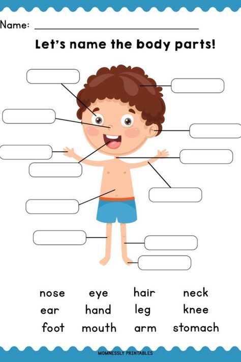 Teach your kids about their body parts with this cute and fun learning worksheets. Read on the blog to know more and get this free printables! Body Parts Worksheet, Rozpoznawanie Liter, Aktiviti Prasekolah, Kertas Kerja Prasekolah, Body Parts For Kids, अंग्रेजी व्याकरण, Araling Panlipunan, Body Preschool, Materi Bahasa Inggris