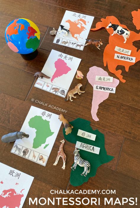 Montessori Animals, Continents Activities, Easy Learning Activities, World Animal Day, Country Study, Around The World Theme, Montessori Geography, Geography For Kids, Geography Activities