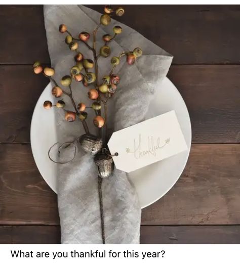 Thanksgiving Images, Fall Kitchen Decor, Thanksgiving Table Settings, Free Thanksgiving, Thanksgiving Tablescapes, Bubblegum Beads, Eye Opening, Thanksgiving Table, Place Setting