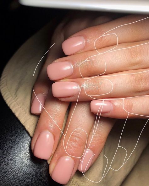 Nails & Beauty • Maidstone on Instagram: “Beautiful set of BIAB teddy 🤩 My client nails have grown so nicely since having biab prior to this set. They’ve grown to such a nice…” Classy Nails, Nails Inspiration, Nails, On Instagram, Beauty, Instagram