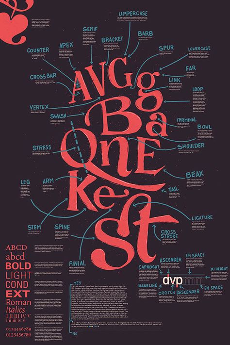 This creative poster adds a few more terms to our list of type anatomy terms (barb, cross stroke, stress, vertex, ligature, em space, and en space) while also being fun and interesting to look at. Type Poster Design, Font Anatomy, Anatomy Of Type, Letter Anatomy, Anatomy Of Typography, Typography Rules, Type Anatomy, Typeface Poster, Typography Design Font