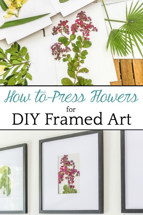 Diy Dry Flowers Frame, How To Frame Dry Flowers, How To Dry Flowers To Frame, How To Frame Pressed Flowers Diy, How To Frame Flowers Diy, Framing Pressed Flowers Diy, Diy Flower Canvas Wall Art, Frame Flowers Diy, Framed Pressed Flowers Diy