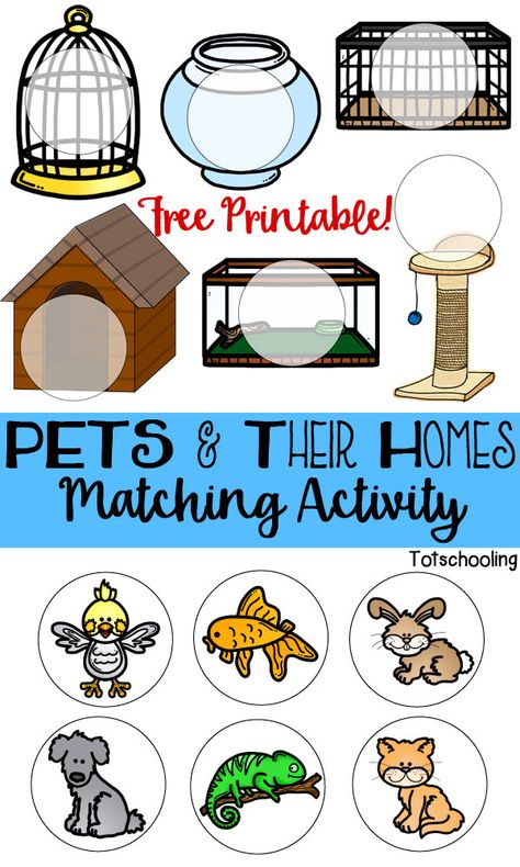 FREE printable game for toddlers and preschoolers to match pets with their cages or homes. Great for language development and learning about animals. Learning About Animals, Game For Toddlers, Pets Preschool Theme, Creative Curriculum, Toddlers And Preschoolers, Animal Activities, Matching Activity, Tot School, Preschool Themes