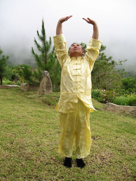 DIFFERENCES AMONGST EIGHTEEN LOHAN HANDS, BONE MARROW CLEANSING AND SINEW METAMORPHOSIS - Grandmaster Wong Kiew Kit - https://shaolin.org/general-2/sinew-metamorphosis/sinew-metamorphosis09.html Shaolin Kung Fu, Cardio At Home, Chi Kung, Tai Chi Chuan, Knit Cardigan Pattern, Fitness Exercises, Historical Background, Qi Gong, Fitness Inspiration Body