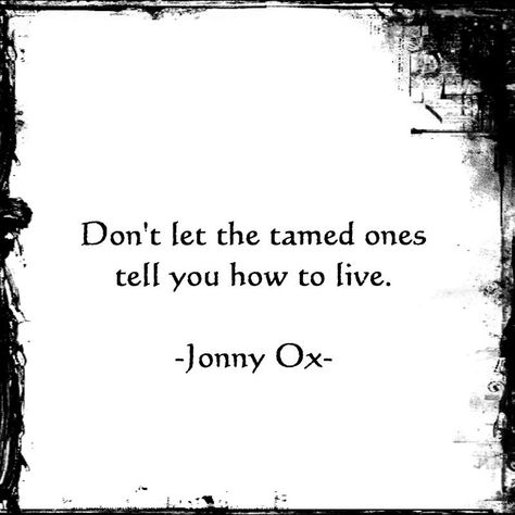 "Don't let the tamed ones tell you how to live." ~ Jonny Ox Bohol, Wanderlust Quotes, Free Spirit Quotes, Spirit Quotes, Travel Quotes Wanderlust, Enjoy The Ride, Super Ideas, Wild Hearts, A Quote