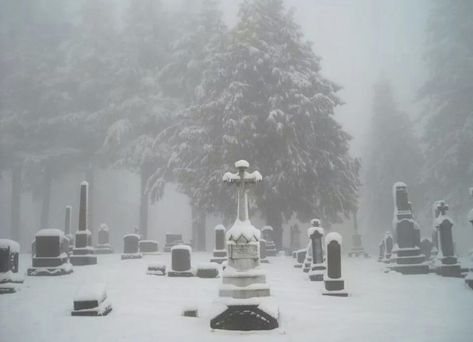 Grave Stones, Scared Of The Dark, Cemetery Headstones, Beautiful Snow, Old Cemeteries, Cemetery Art, Southern Gothic, Gothic Aesthetic, Winter Aesthetic