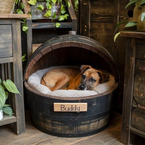 Cool dog beds