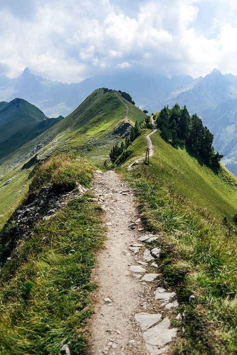 Mounteneering Hiking, Hiking In Switzerland, Trail Aesthetic, Hiking Path, Asterix Y Obelix, Hiking Photography, Mountain Trail, Mountain Trails, Zurich Switzerland