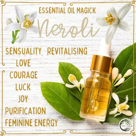 Magic Oil, Witchcraft Herbs, Top Essential Oils, Essential Oil Beauty, Neroli Essential Oil, Neroli Oil, Energy Healing Spirituality, Herbal Magic, Season Of The Witch