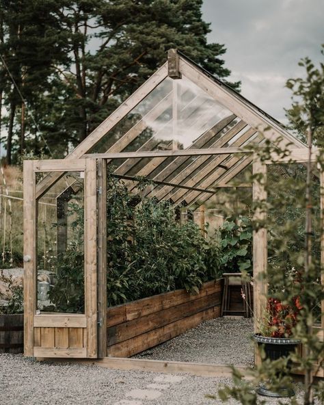 Greenhouse Window Ideas, Mediterranean Greenhouse, Narrow Greenhouse, Cute Greenhouse, Wood Greenhouse, Greenhouse Inside, Rustic Greenhouses, Greenhouse Interior, Greenhouse Inspiration