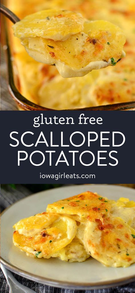 Gluten Free Scalloped Potatoes - Iowa Girl Eats Potato Recipes Christmas, Christmas Potato Recipes, Easy Christmas Side Dishes, Side Dishes Christmas, Gluten Free Scalloped Potatoes, Easy Scalloped Potatoes Recipe, Scalloped Potatoes Easy, Potato Side Dish, Snack Prep