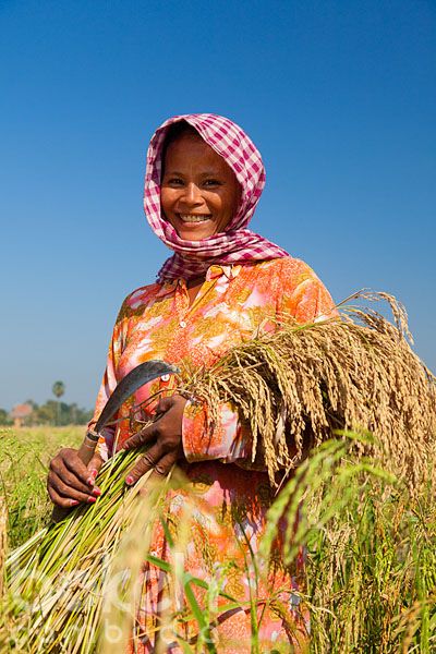 Rice farmer with sickle | Takeo Province, Cambodia Farmer Philippines, Battambang Cambodia, Khmer People, Indonesian Heritage, Khmer New Year, Beautiful Culture, Battambang, Female Farmer, Cartoon House