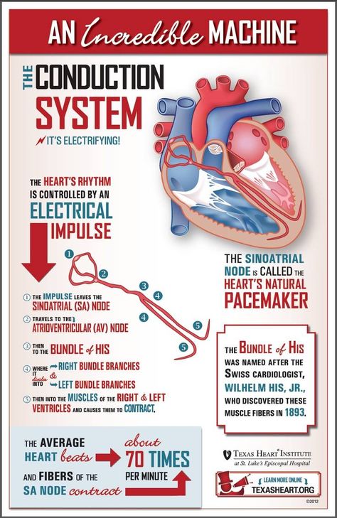 Education Notes, Cardiac Nursing, Best Nursing Schools, Nursing School Notes, Human Anatomy And Physiology, Nursing Tips, Nursing Study, Nursing Education, Nursing Notes