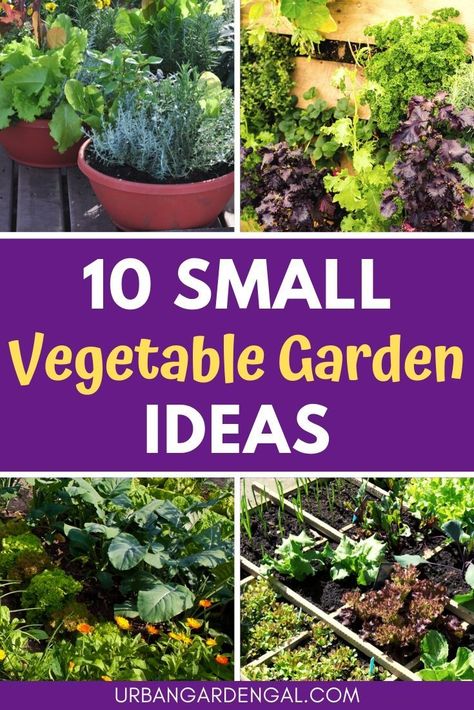 Small Vegetable Garden Ideas, Home Vegetable Garden Design, Small Vegetable Garden, Vegetable Garden Layout Design, Small Garden Layout, Home Garden Ideas, Vegetable Garden Ideas, Vegetables Garden, Tattoo Plant