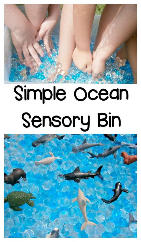 Super Simple Ocean Sensory Bin Kids Will Love - Perfect for a kindergarten or preschool ocean theme, or for a preschool summer camp Ocean Sensory Bin, Preschool Summer Camp, Ocean Sensory, Ocean Theme Preschool, Ocean Unit, Ocean Activities, Summer Preschool, Toddler Sensory, Preschool Themes