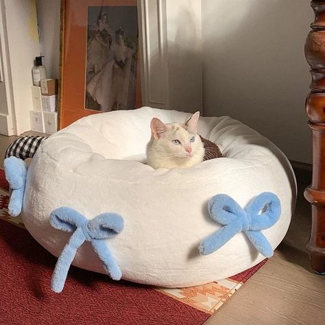 Elegant Coquette, Luxury Cat Bed, Cozy Spot, Animal Room, Cute Bedroom Decor, Space Cat, Cat Room, Cat Accessories, Pet Mat