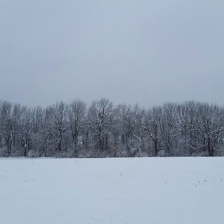 Snow Landscape Aesthetic, Snow Field Aesthetic, Soft Apocalypse, Road Trip Movie, Snow Field, Snowy Field, Visual Map, Book Thief, Snow Aesthetic