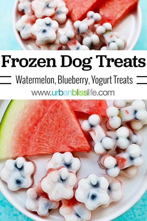 Watermelon Popsicles For Dogs, Dog Summer Ideas, Dogfood Homemade, Watermelon Dog Treats, Puppy Treats Homemade, Homemade Frozen Dog Treats, Frozen Dog Treats Recipes, Frozen Dog Treats Homemade, Pup Treats