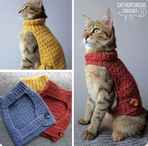 Cat Sweater Crochet Pattern, Crochet Cat Sweater, Cat Sweater Pattern, Cat Hat Pattern, Kitty Sweater, Crochet Dog Clothes, Sweater Tutorial, Crochet Cat Hat, Alley Cats