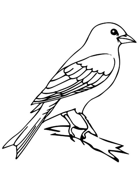 Mockingbird Drawing Easy, Bird Outline, Canary Birds, Tree Coloring Page, Bird Coloring Pages, Online Coloring Pages, Funny Birds, Tree Drawing, Bird Drawings