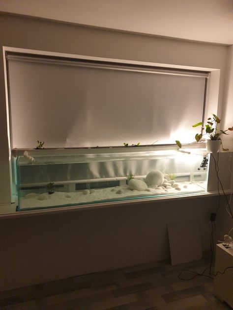 Minimalist Fish Tank, Minimalist Aquarium, Fish Tank Themes, Aquarium Garden, Fish Tank Terrarium, Indoor Water Garden, Aquarium Landscape, Turtle Tank, Saltwater Tank