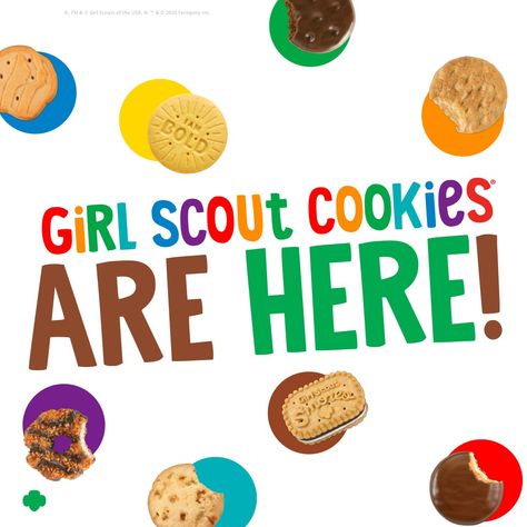 Girl Scout Cookies Booth Signs, Girl Scout Swaps Ideas Easy, Girl Scout Brownie Badges, Girl Scout Daisy Activities, Girl Scout Mom, Girl Scout Cookie Sales, Girl Scout Cookies Booth, Gs Cookies, Daisy Troop