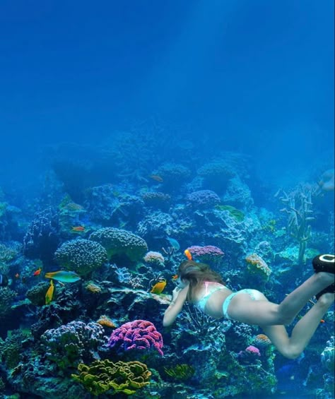 Hawaii Snorkeling Aesthetic, Ocean Lifestyle Aesthetic, Ocean Biology Aesthetic, Bottom Of The Ocean Aesthetic, Oeacn Aesthetic, Oceanographer Aesthetic, Snorkeling Pictures Aesthetic, Cute Snorkeling Pictures, Marine Conservation Aesthetic