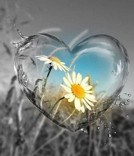 c1a74842e5b48efd74c2de3c53899d16 | Martine Briavoine | Flickr Kristina Webb, Heart In Nature, God Natt, Love Heart Images, Heart Images, 수채화 그림, Water Art, Beautiful Nature Wallpaper, Heart Wallpaper