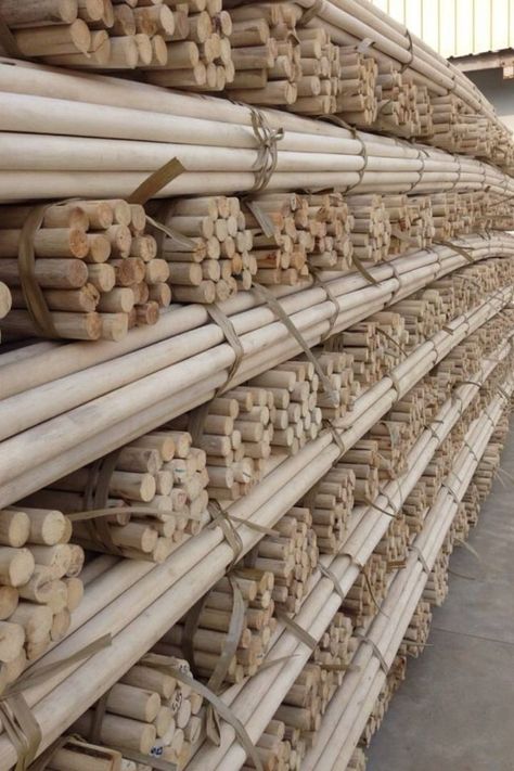 Wholesale 18mm to 50mm Polished Rattan Manau Cane Poles 100% Nature Dry Straight Rattan Bamboo pole for sale Wood, Vietnam, Cane Webbing, Rattan Cane, Bamboo Poles, Bamboo, Lily