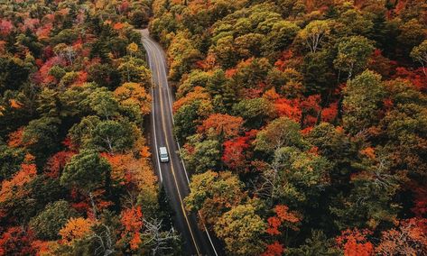 Vermont Route 100: The perfect fall road trip - Tripadvisor Packing Accessories, Glamping Resorts, Fall Road Trip, Best Ski Resorts, Perfect Road Trip, Skyline Drive, Prime Day Deals, Fall Hiking, Amazon Prime Day