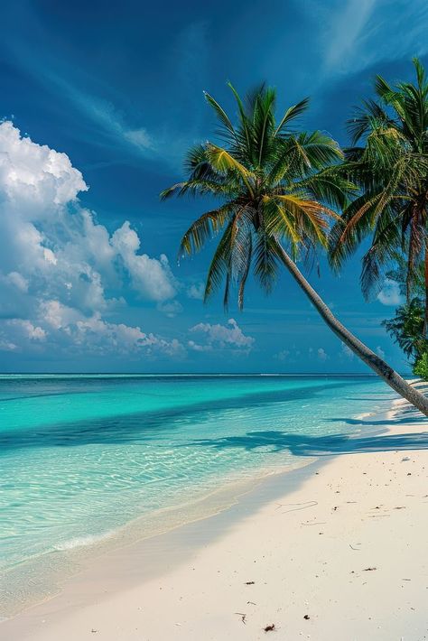 Coconut trees summer beach outdoors. | premium image by rawpixel.com / Aew Seascape Aesthetic, Praia Aesthetic, Coconut Beach, Coconuts Beach, Coconut Palm Tree, Happy Navratri Images, Coconut Trees, Palm Trees Beach, Beach Background