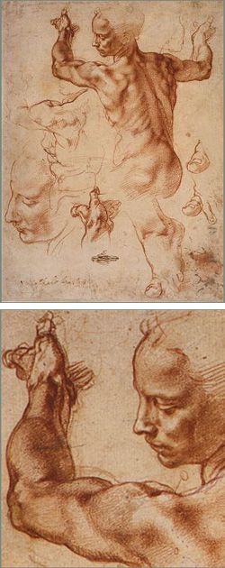 Michelangelo   studies for the Libyan Sibyl on the Sistine Chapel ceiling Frankenstein Drawing, Michelangelo Paintings, Michael Angelo, Istoria Artei, Master Drawing, Anatomy Sketches, Sistine Chapel, Anatomy Drawing, Stock Paper