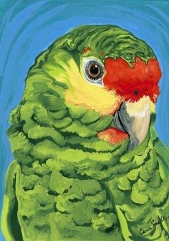 Animals Painting Ideas, Parrot Painting, Animals Painting, Green Parrot, Amazon Parrot, Parrots Art, Arte Inspo, Tropical Art, Bird Drawings