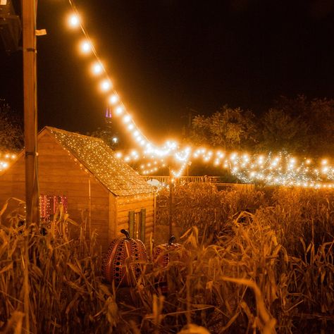 Haunted Corn Maze, Hay Maze, Haunted Maze, Haunted Hayride, Amazing Halloween Costumes, What Is Halloween, New England Fall, Fall Bucket List, Corn Maze