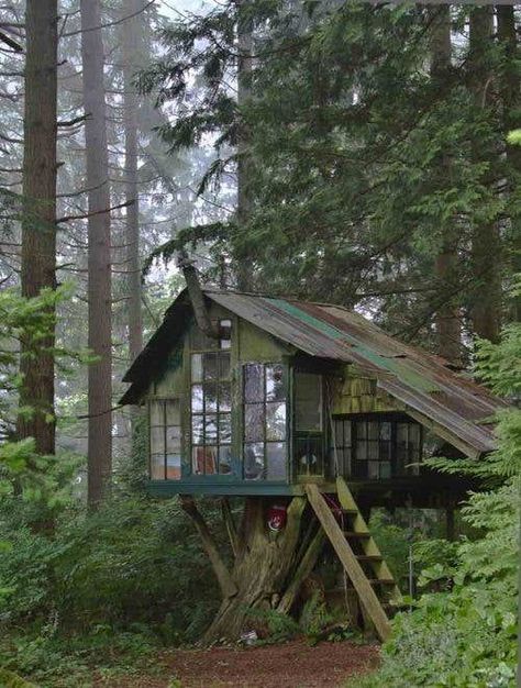 Smallish treehouse with plenty of lighting in the Black Forest, Germany. Hapkido, Cool Tree Houses, Tree House Designs, Cabins And Cottages, Cabin Life, Green Life, Cabins In The Woods, Little Houses, Little House