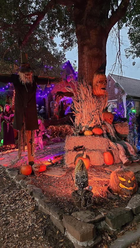 Best Decorated Halloween Houses, Extreme Halloween Decorations Outdoor, Haunted Cornfield Decorations, Spooky Graveyard Decorations, Haunted Farm Decorations, Halloween Walkway, Halloween Decorations Outdoor Scary, Horror Farm, Outdoor Haunted House